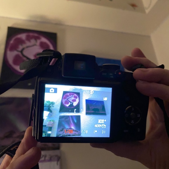 Nixon Coolpix P100 - Picture 4 of 6